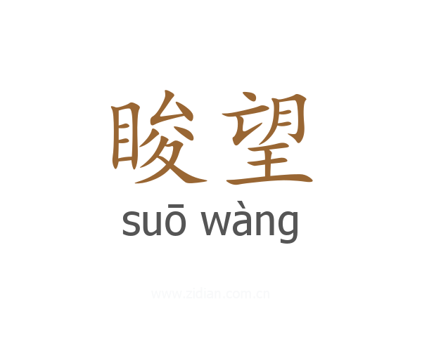 睃望
