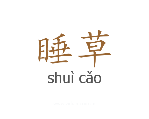睡草