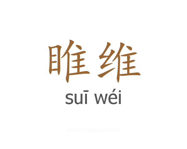 睢维