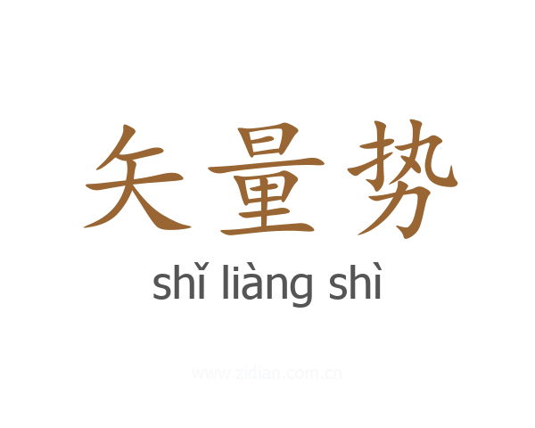 矢量势