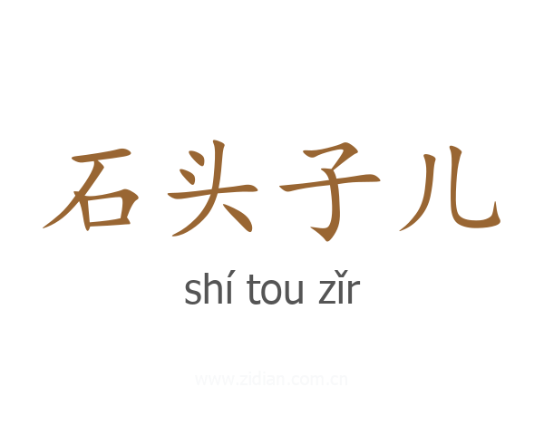 石头子儿