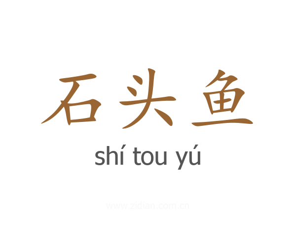 石头鱼