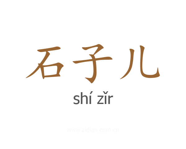 石子儿