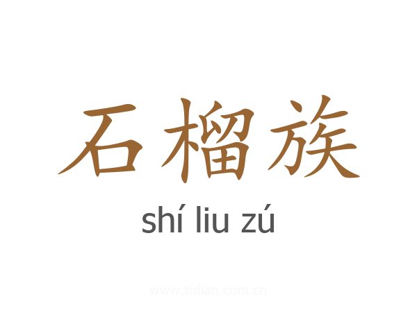 石榴族