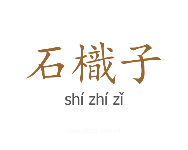 石樴子