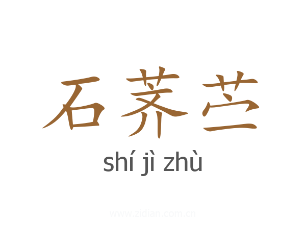 石荠苎