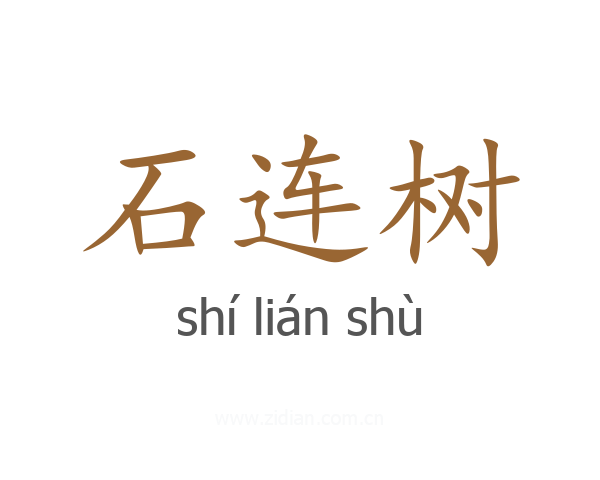 石连树