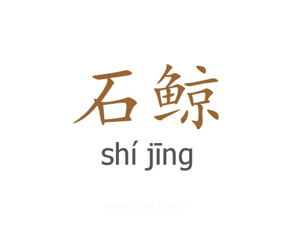 石鲸