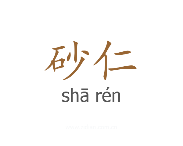 砂仁