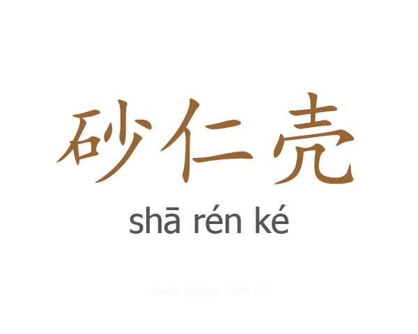 砂仁壳