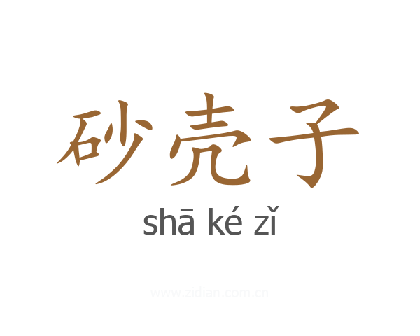 砂壳子
