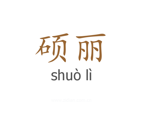 硕丽