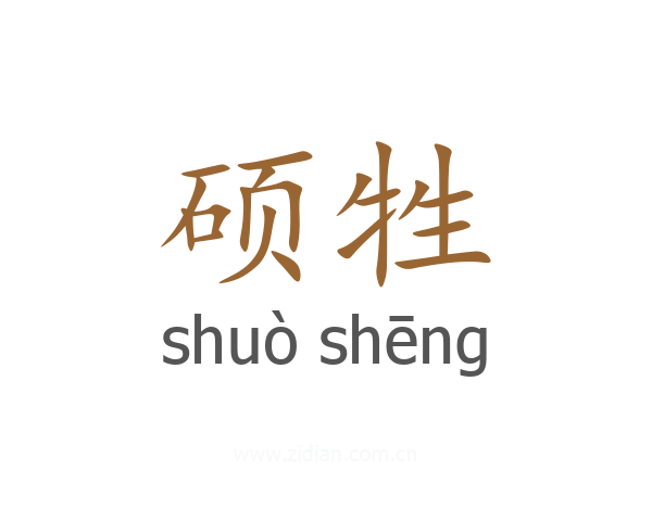 硕牲