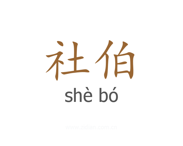 社伯