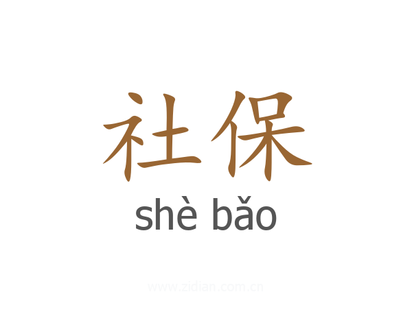 社保