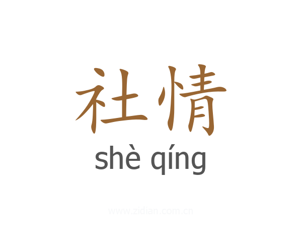 社情