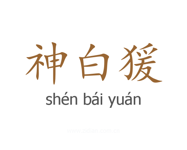 神白猨