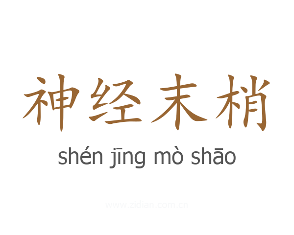 神经末梢