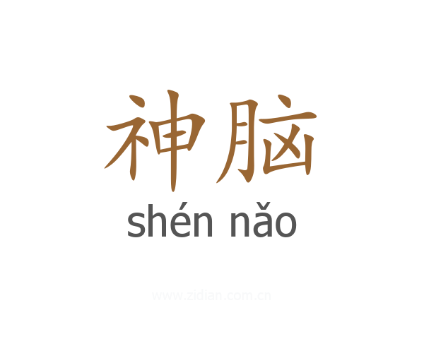神脑