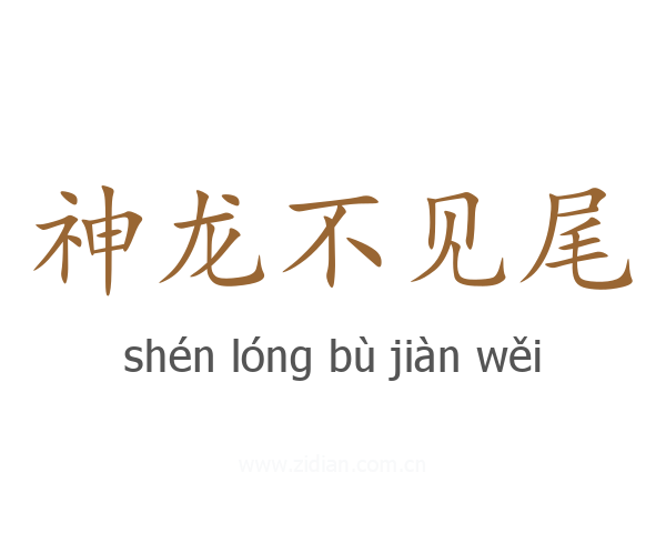 神龙不见尾