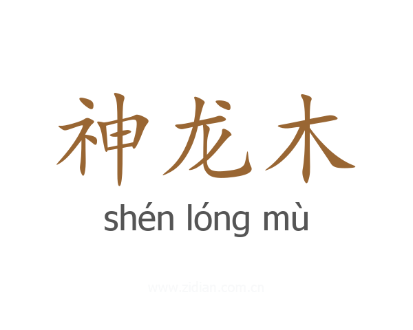 神龙木