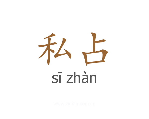 私占