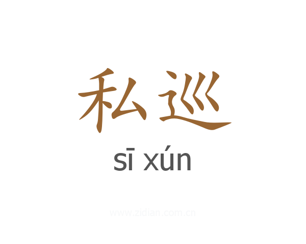 私巡