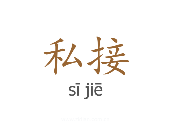 私接