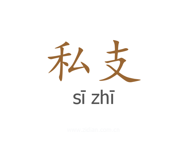 私支