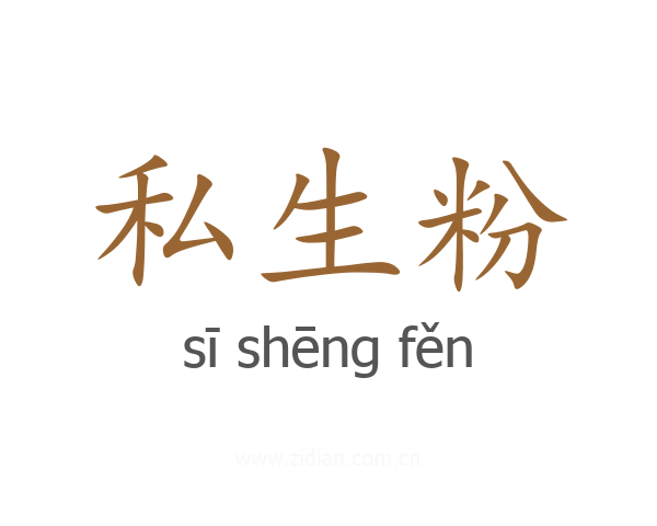 私生粉