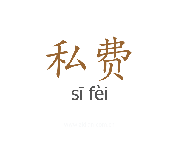 私费