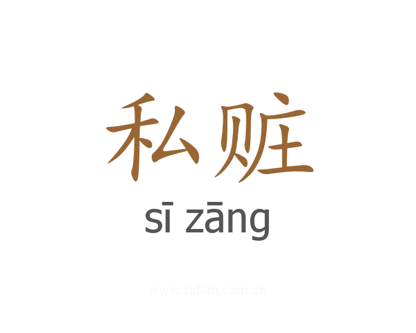 私赃