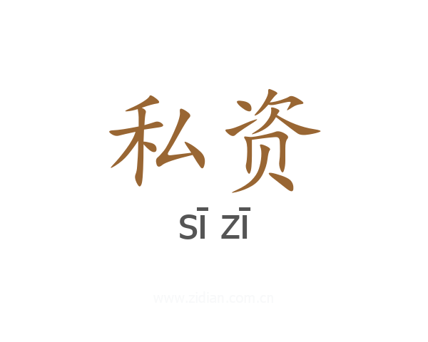 私资