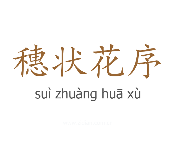 穗状花序