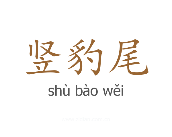 竖豹尾