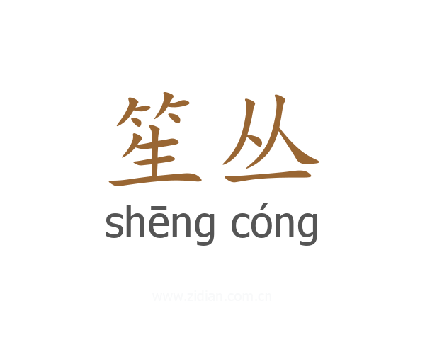 笙丛