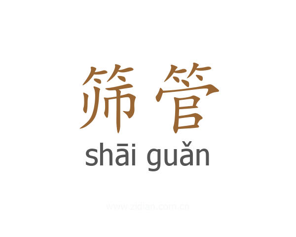 筛管
