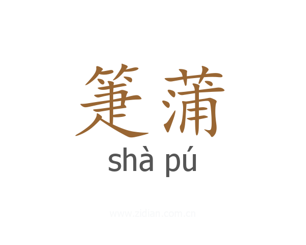 箑蒲