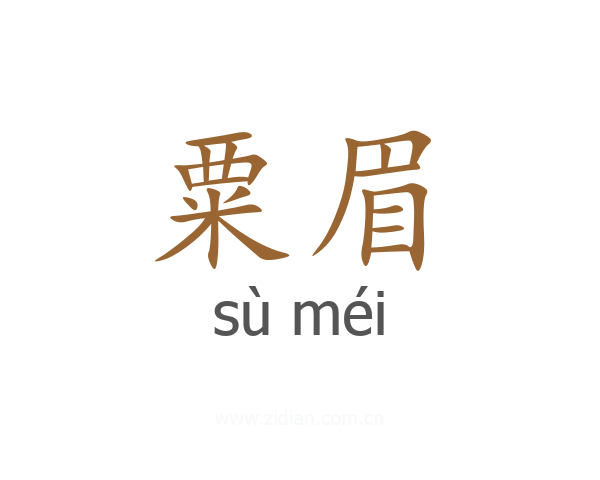 粟眉