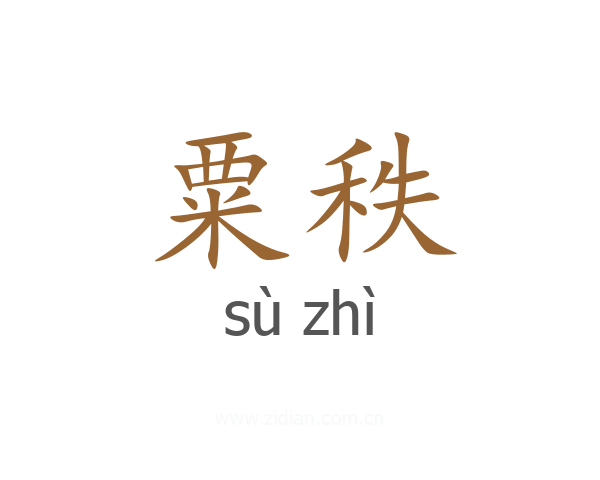 粟秩