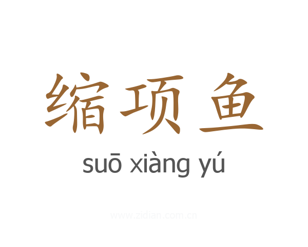 缩项鱼
