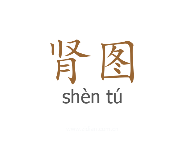 肾图