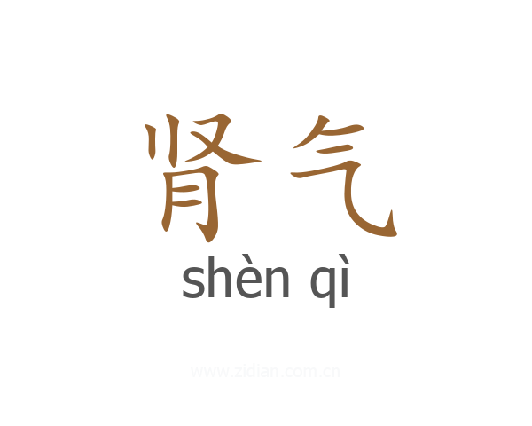 肾气