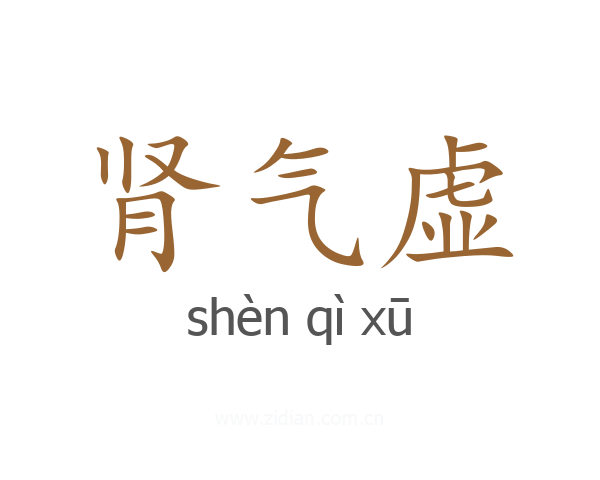 肾气虚