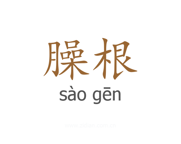臊根
