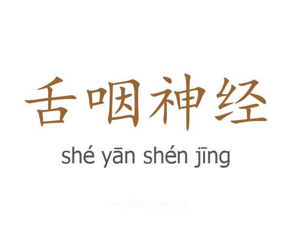 舌咽神经