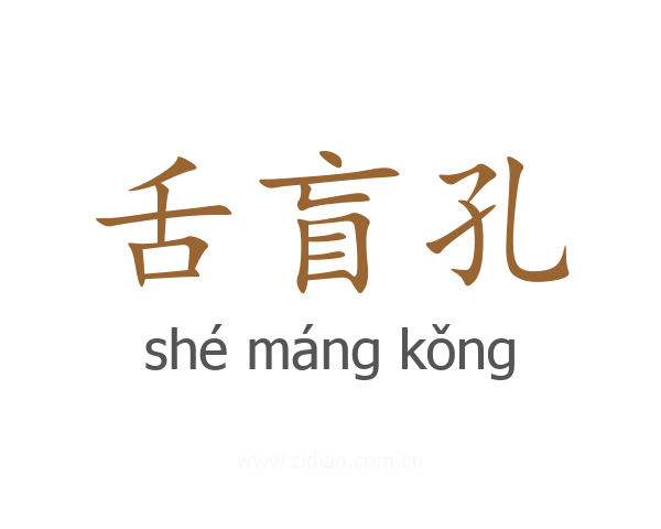舌盲孔