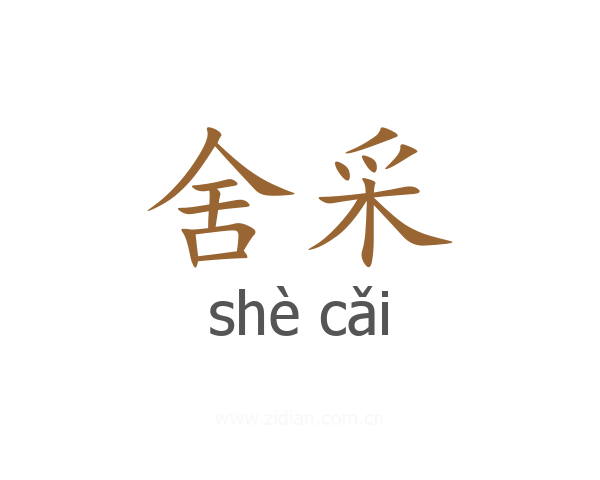 舍采