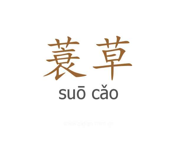 蓑草