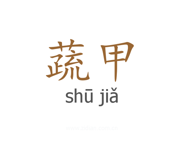 蔬甲